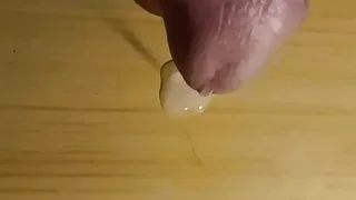 Gay XXX 2
